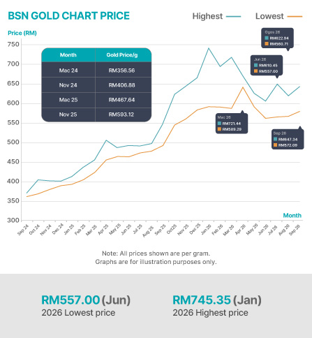BSN Gold Chart
